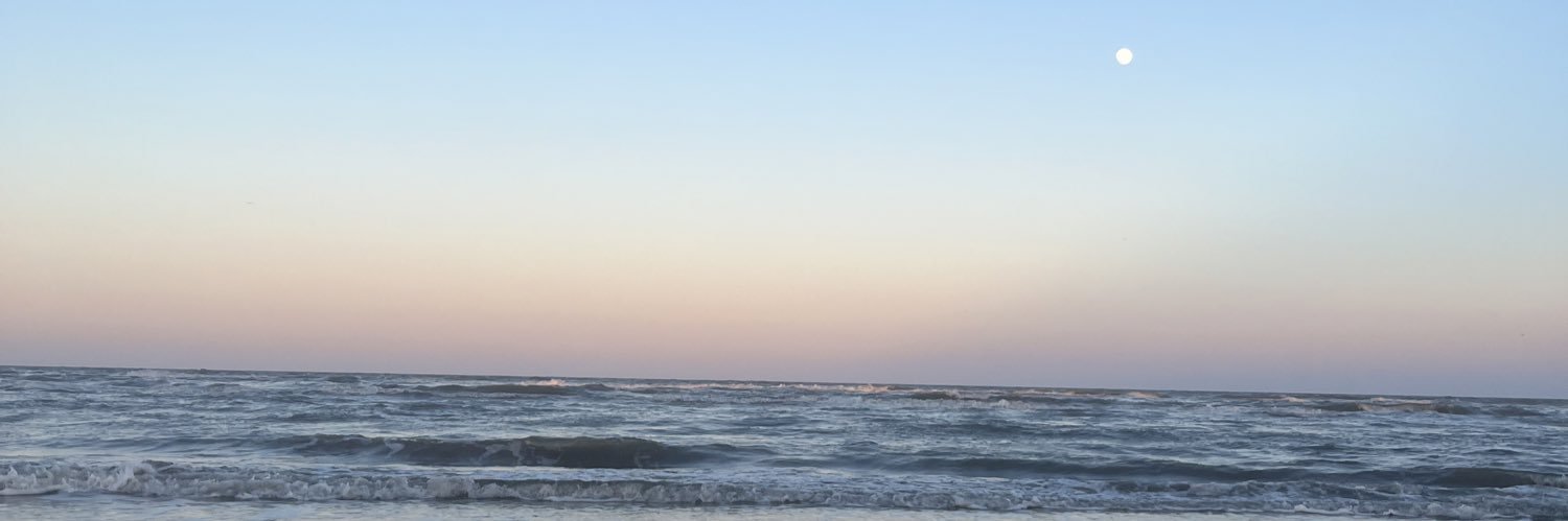NETSIRKPEREZ's profile banner image