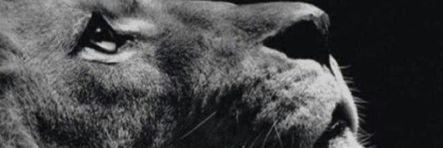 m7amod5's profile banner image