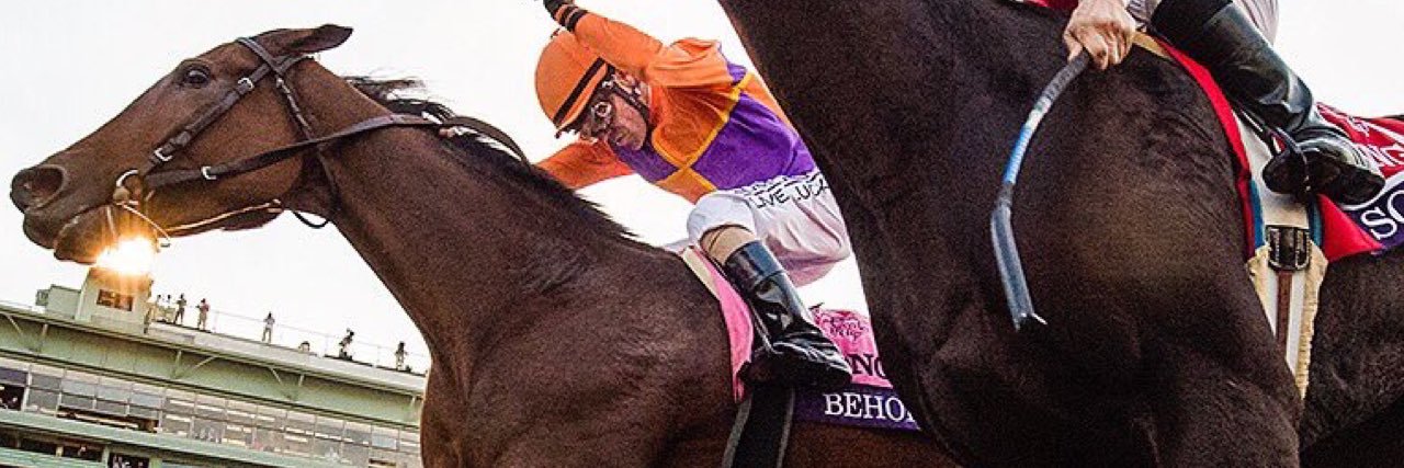 Beholder_Mare's profile banner image