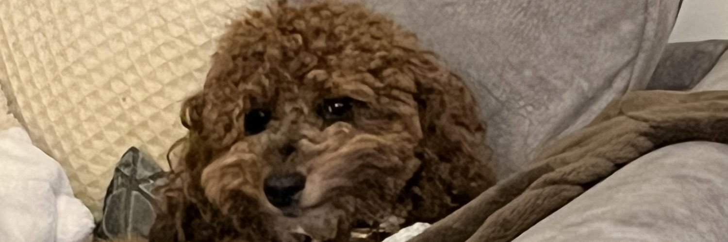 LucLevitt's profile banner image