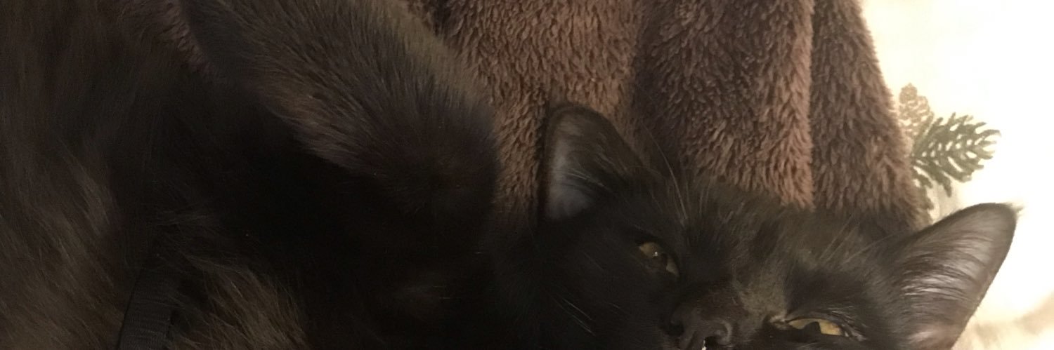 carleondraya's profile banner image