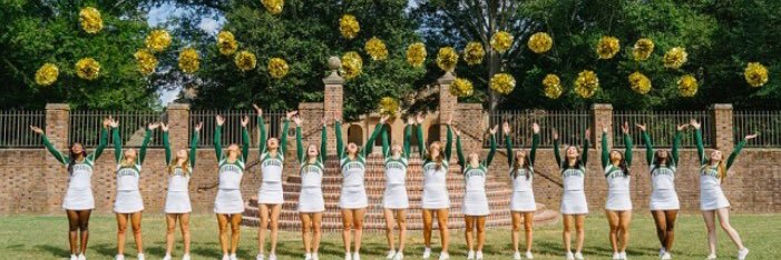 WMTribeCheer's profile banner image