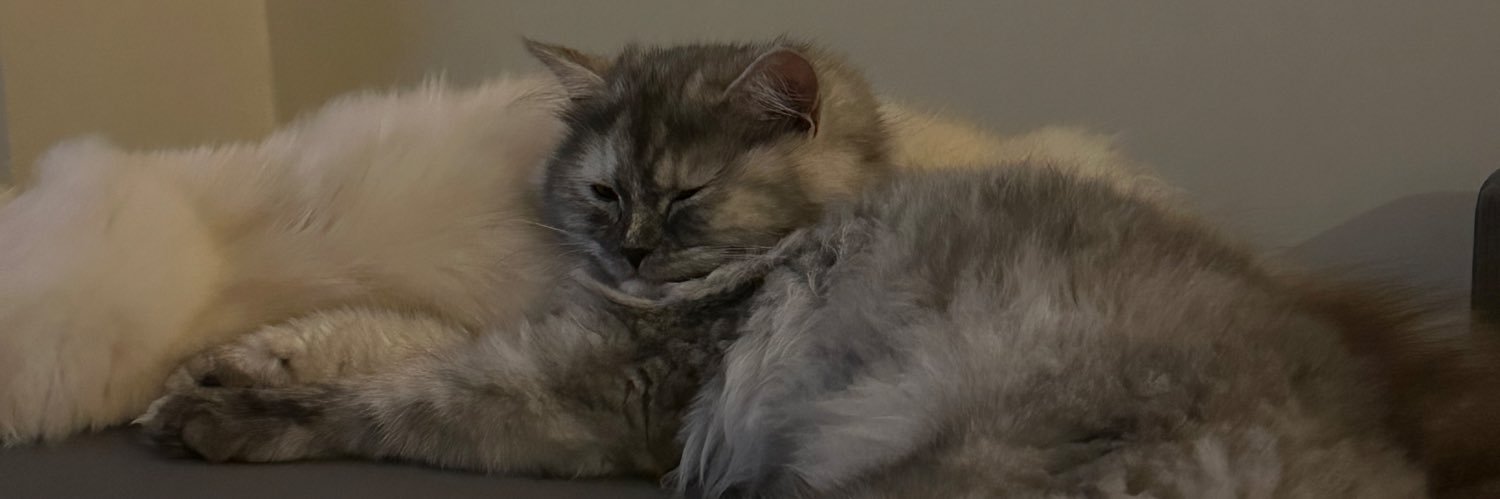 univvb's profile banner image