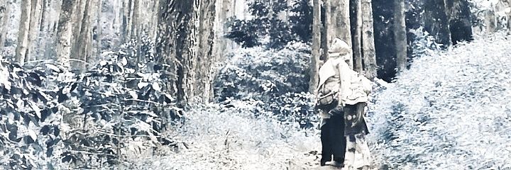 petandang's profile banner image