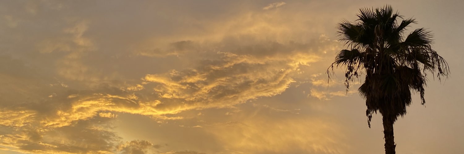 megcitty's profile banner image