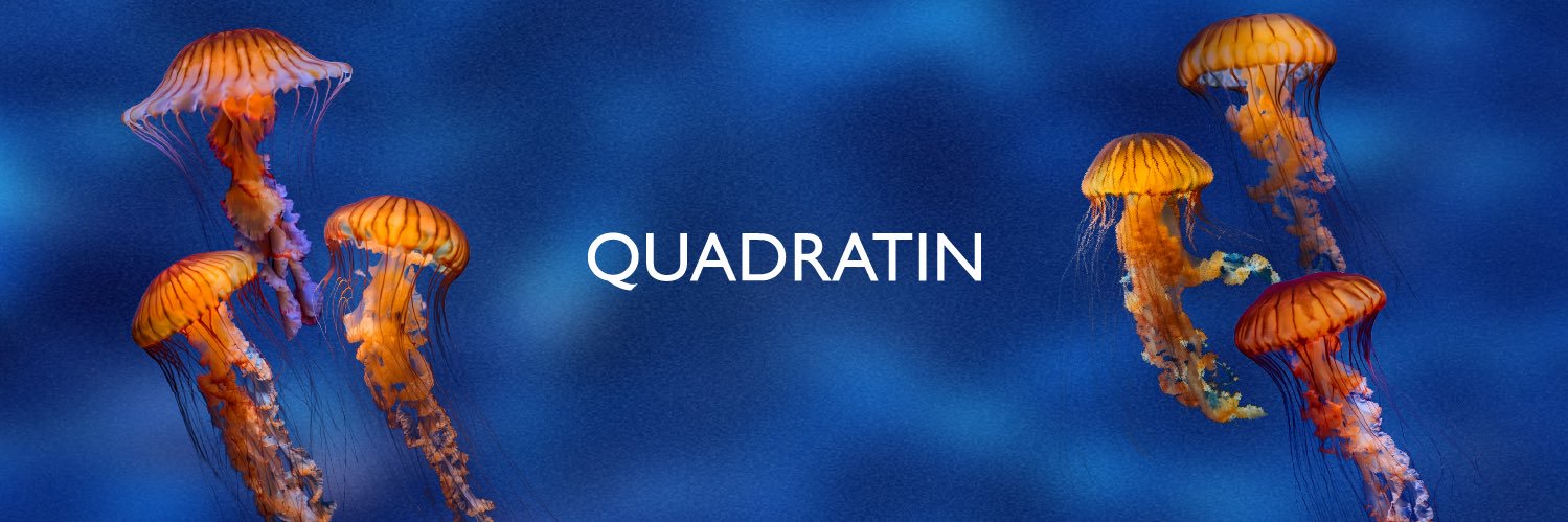 Quadratín Edomex's banner