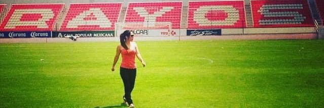 Blanch D Necaxa ⚡️ banner
