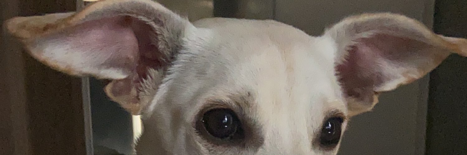 dan_freit's profile banner image