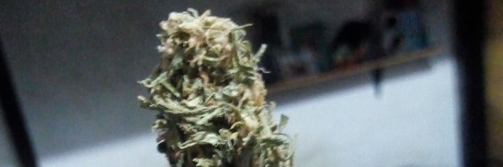 Feddee0878's profile banner image