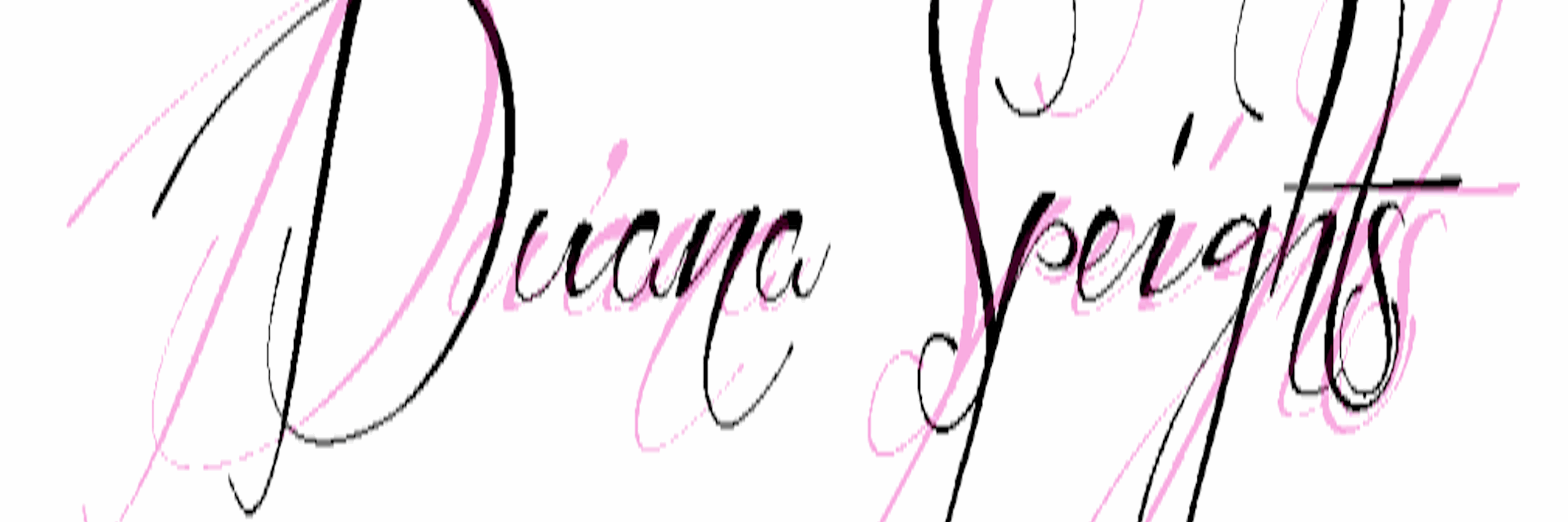 duanaspeights's profile banner image