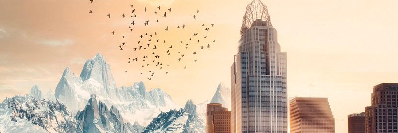 meredithwhitney's profile banner image