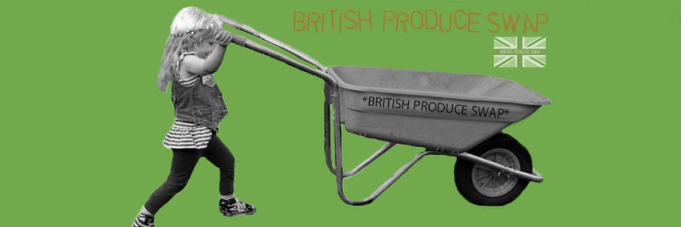 BritProdSwap's profile banner image