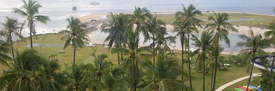 NoLibs's profile banner image