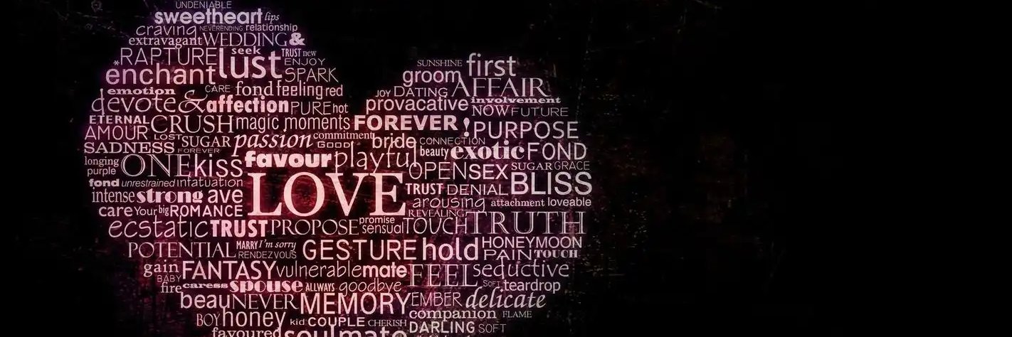 Jan-sextoy banner