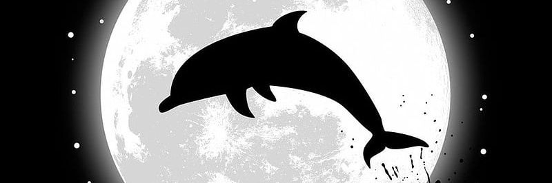 Flippa banner