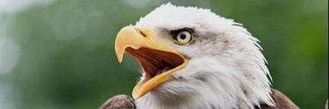usa_asmsb's profile banner image