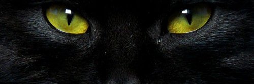 JorgeLima33's profile banner image
