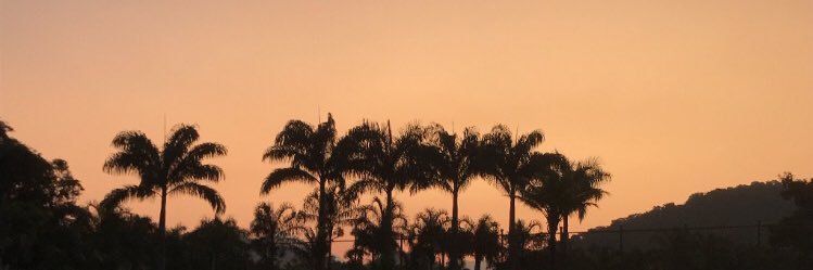 _mjeniffer's profile banner image
