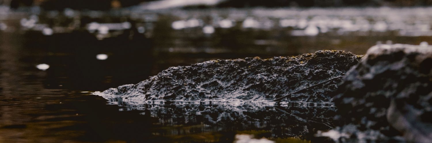 _rmvrtin's profile banner image