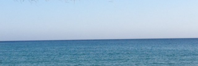 cinzia borgonetti banner