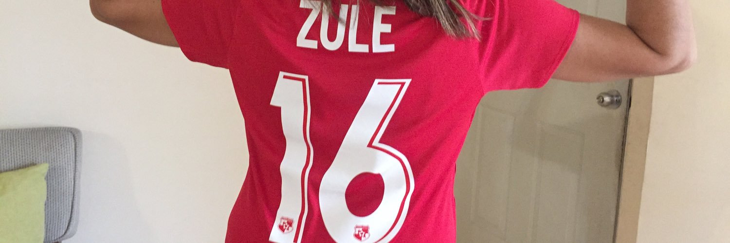 Zulema_Cerrud's profile banner image