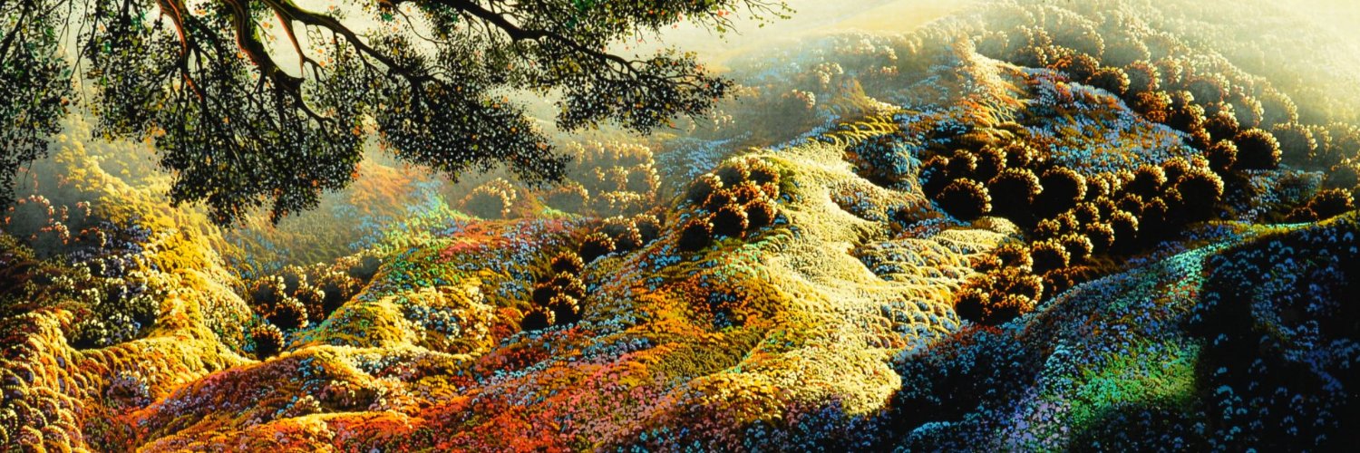 Semi-Retired Professor Steve Cox banner