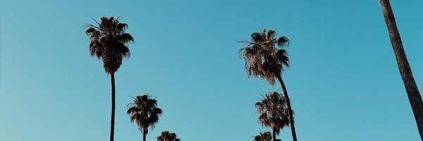 tiffzheng Profile Banner