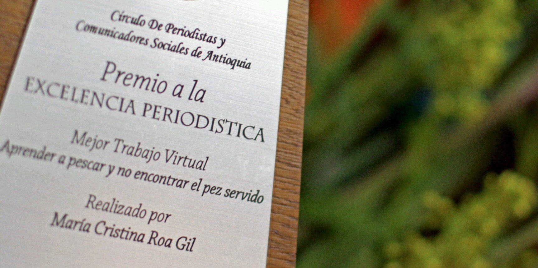 mariacrisroa's profile banner image