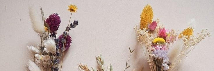 ViopyAnggyra's profile banner image