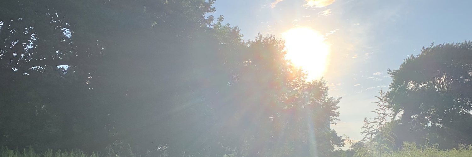 streetratpeter's profile banner image