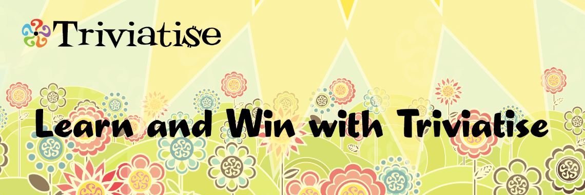 Triviatise banner