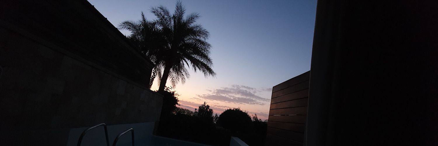 PatriceHoffmann's profile banner image