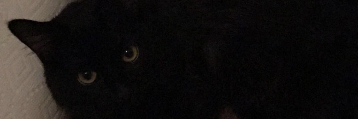tylers16's profile banner image