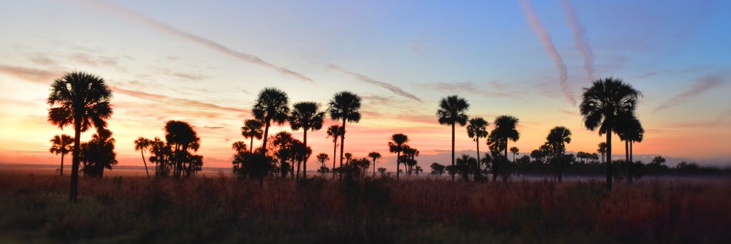 jdwmba's profile banner image