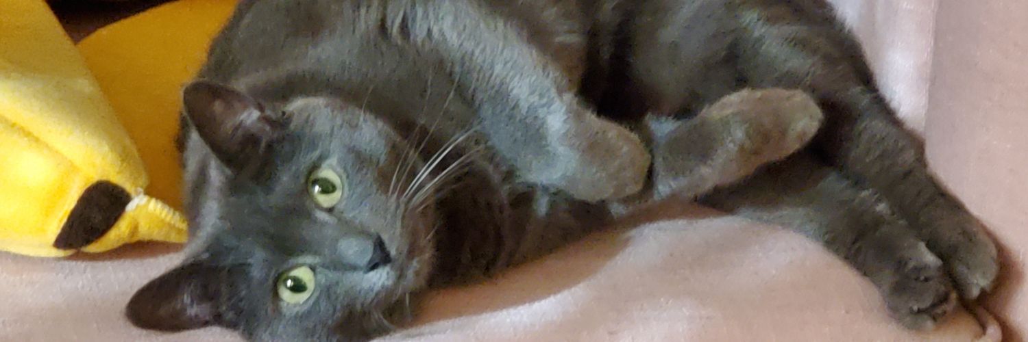 feifeicuttie's profile banner image