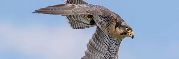 Abdullahq8q's profile banner image