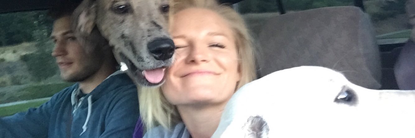 baileysue5's profile banner image