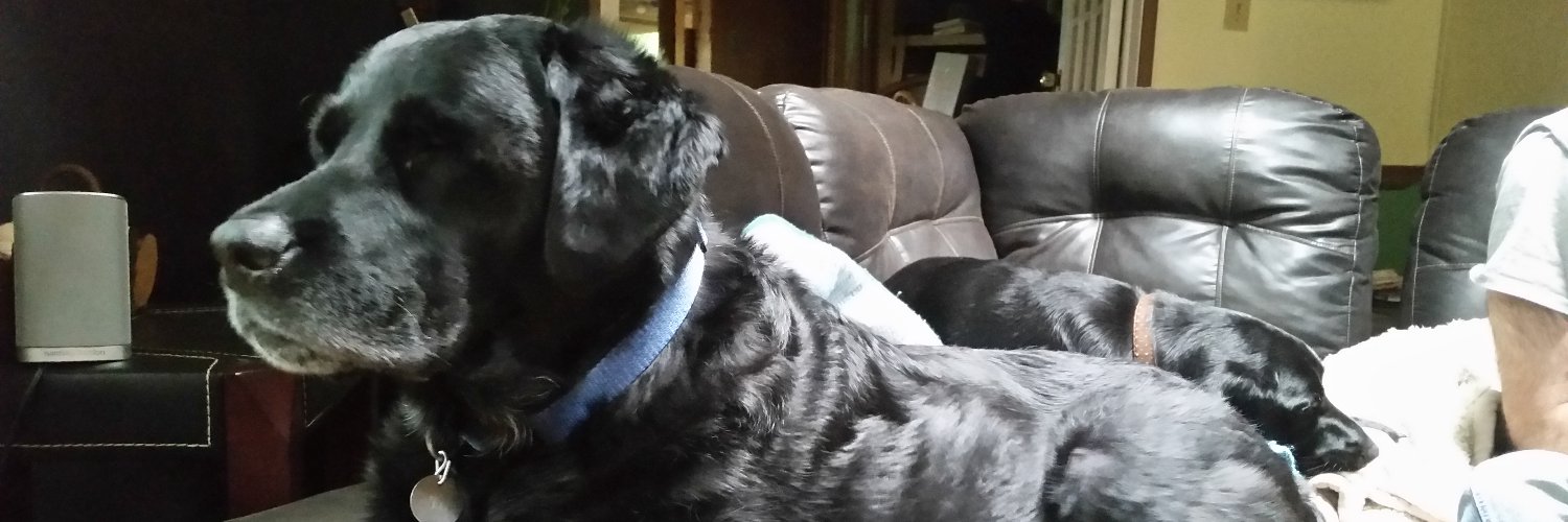 Homo Economicus banner