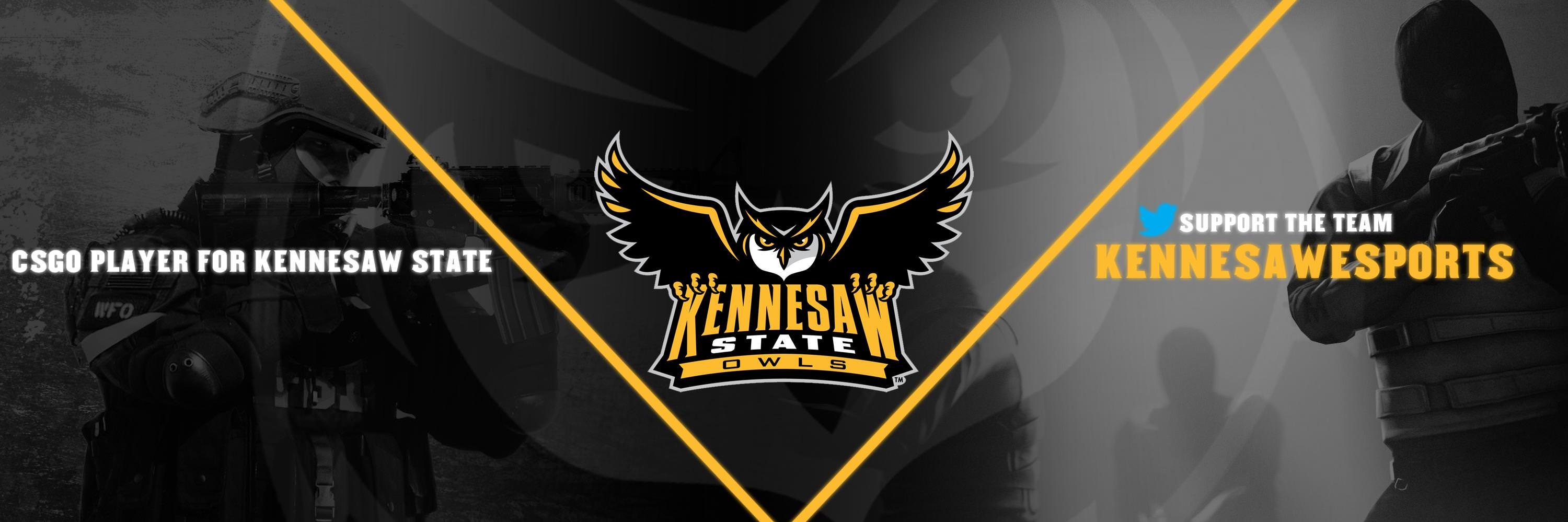 Austin banner