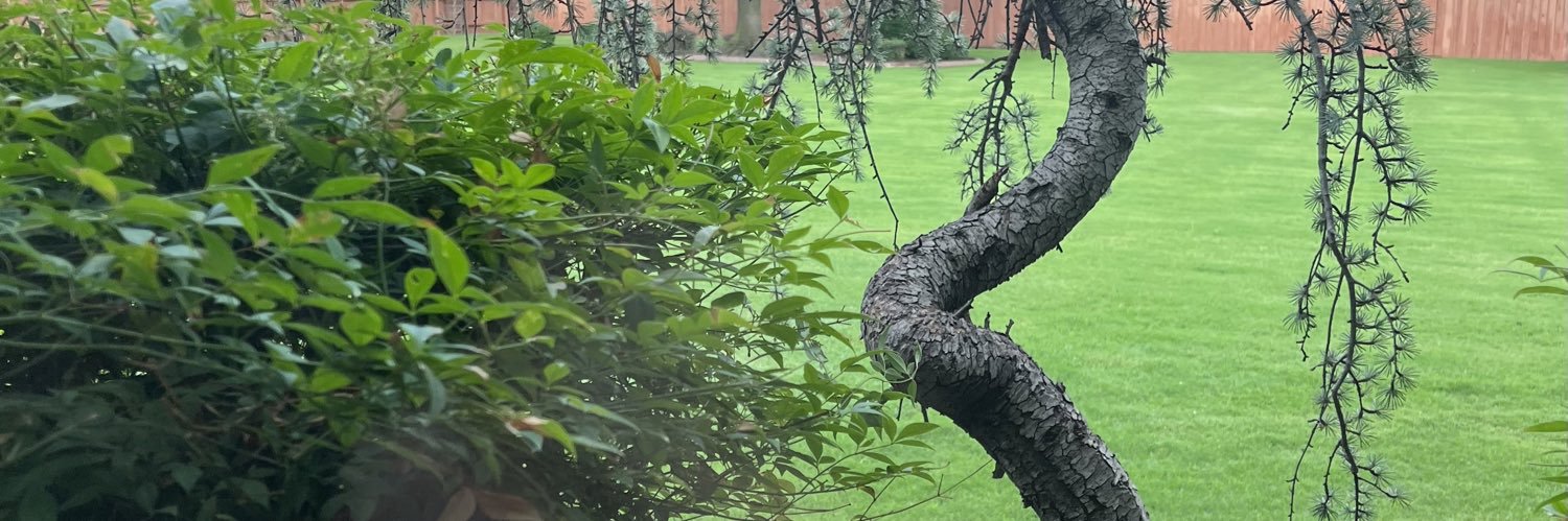 Wayne A Johnson banner