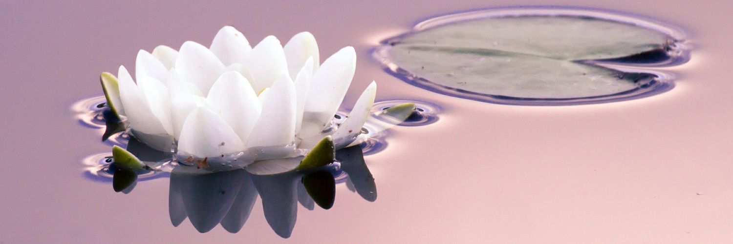 inkastockholm's profile banner image