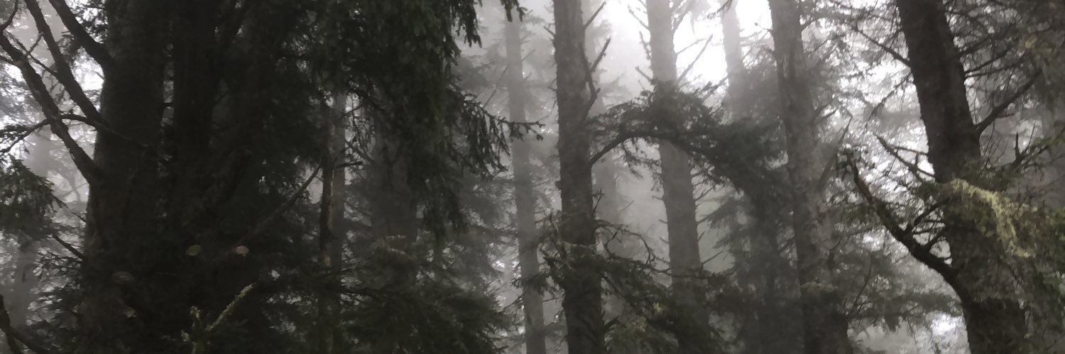 Snows8thDwarf's profile banner image