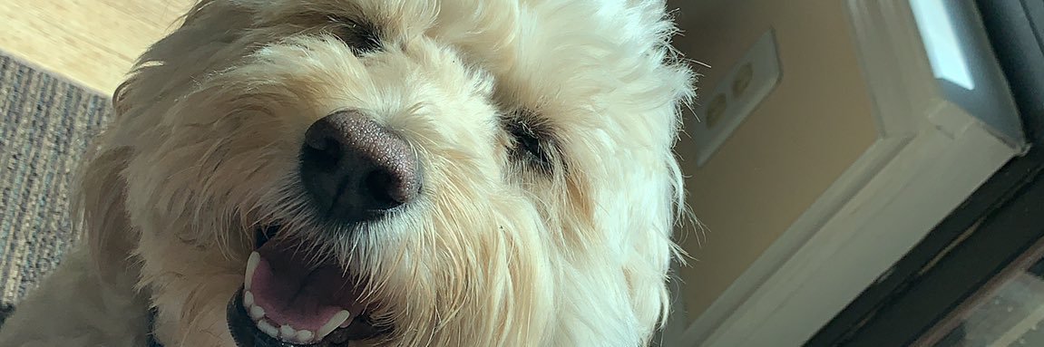 FleekJu's profile banner image