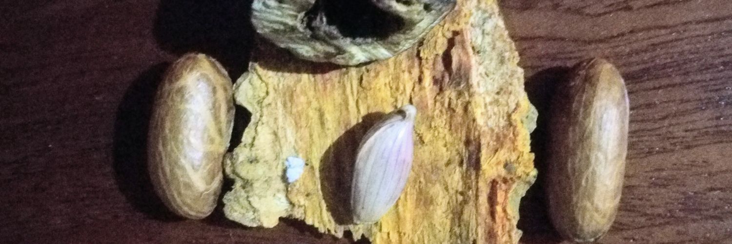 yannick ETOUNDI🇨🇲🇧🇫🇲🇱🇳🇪🇸🇳🇷🇺🇨🇳 banner