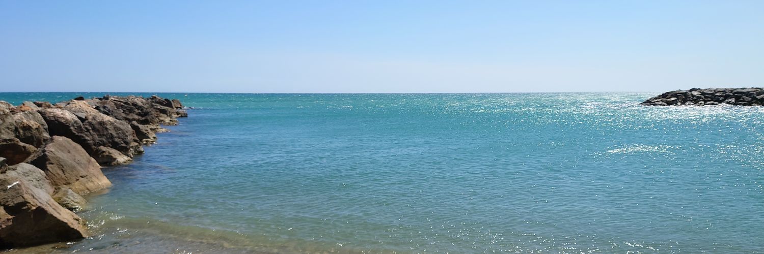 EmilieSoler's profile banner image
