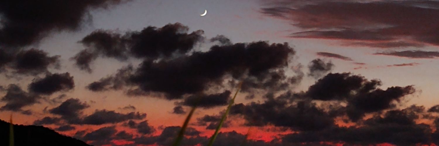 Ottirr's profile banner image