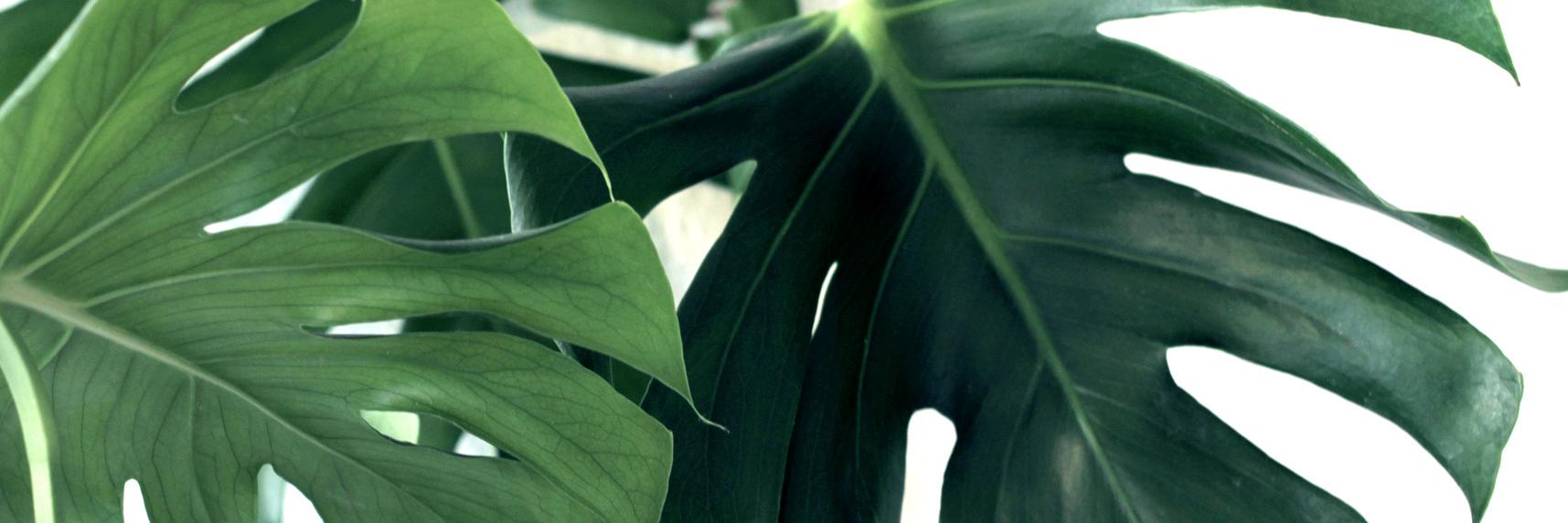JulesWell's profile banner image