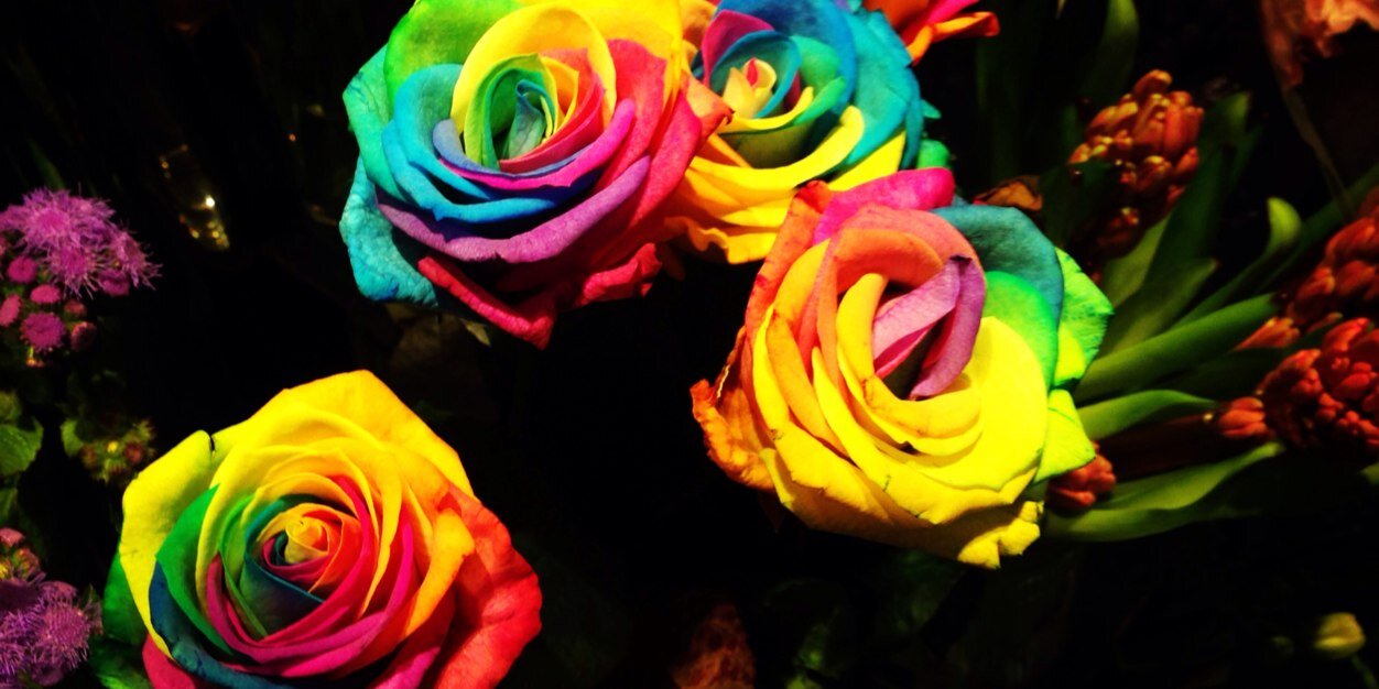 Moo104's profile banner image