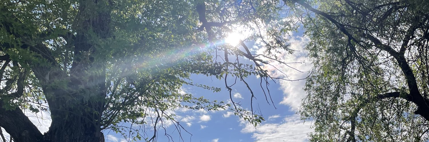 madisonketo's profile banner image
