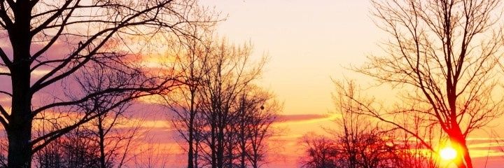 BAP_Lyra's profile banner image